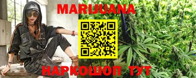 мяу мяу мука Краснознаменск