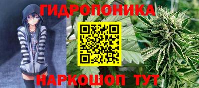 мяу мяу мука Краснознаменск