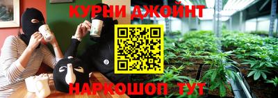 мяу мяу мука Краснознаменск