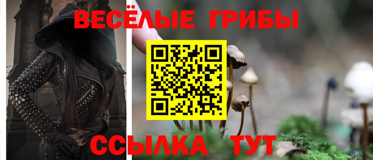 Кохма  Галлюциногенные грибы Psilocybe  Вход с VPN 